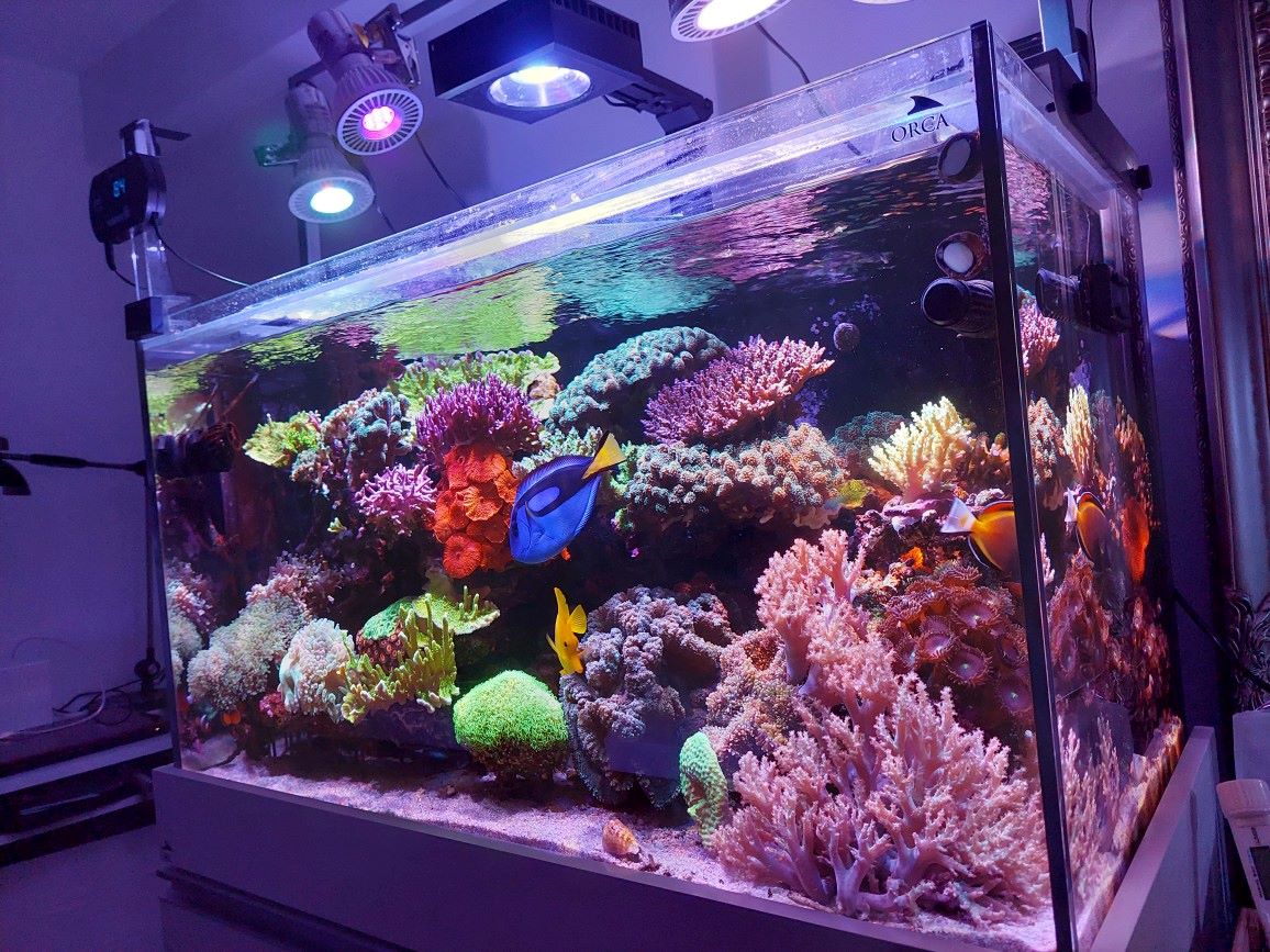 マーフィード ネモライト2 90cm水槽・海水用 NEMO LIGHT AMシリーズ