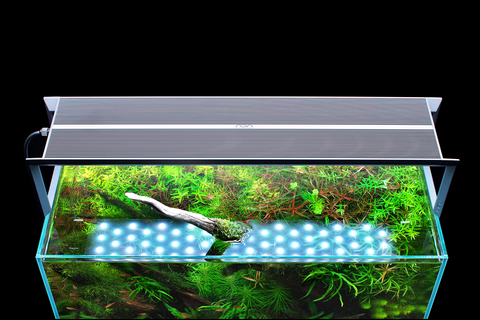 ADA AQUASKY RGB II 60 LED lighting system (108W) – Aqua Forest