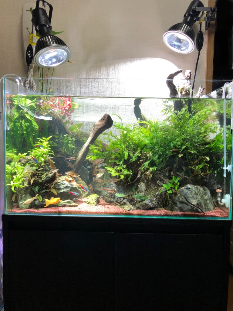 ADA 水草用LEDライト 大型 水景はより美しくなる、水槽用LEDバックライト