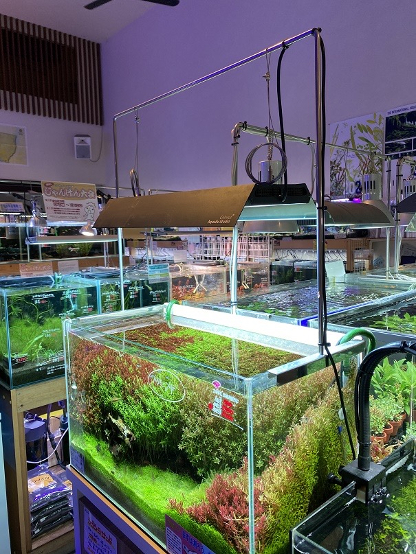 Chihiros RGB VIVID2水槽用LED