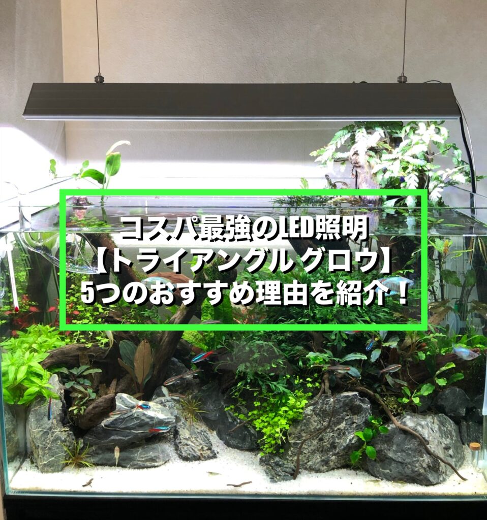 アクロ トライアングル グロウ900LEDライト 90cm 吊り下げ金具付き