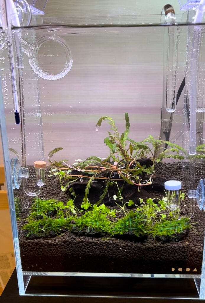 ADA リリィパイプ ADA リリィパイプ P-2とP-6とV-7 ADA リリィ