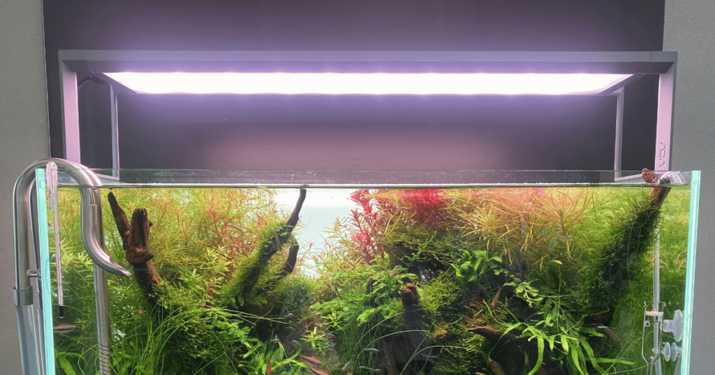 ADA AQUASKY アクアスカイG 602 ADA AQUASKY G 水槽照明 アクアリウム