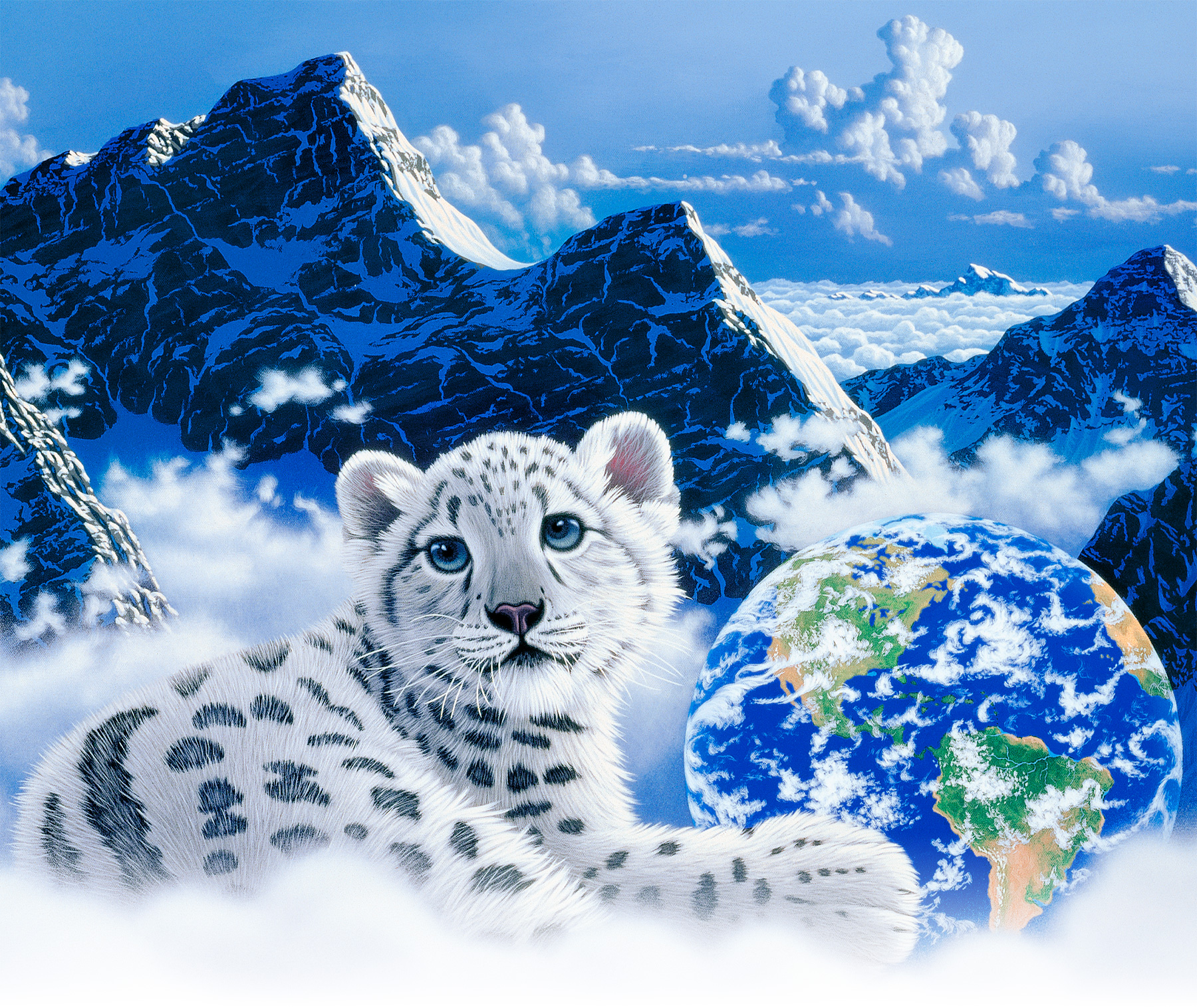 他の方発送×シム・シメール Schim Schimmel 【 夢に届く日 】 他の方