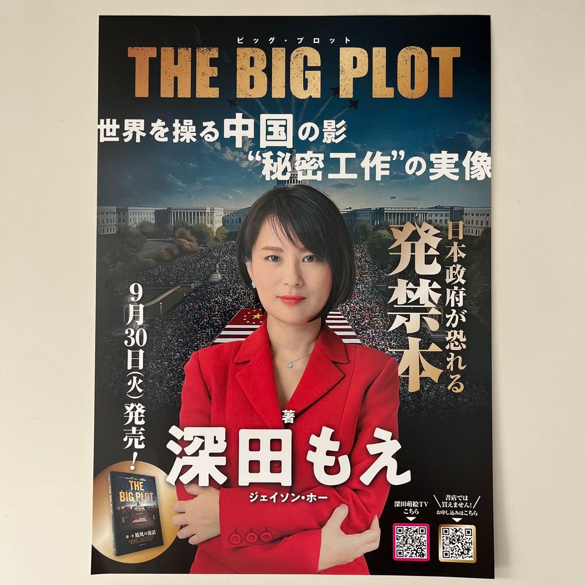 THE BIG PLOT ビッグプロット 第一巻 鳳凰の復活 深田萌絵 非売品 新品