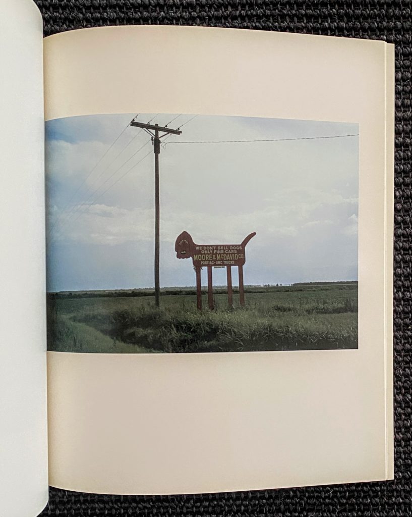 William Eggleston : Horses and Dogs - Benoit Waterkeyn