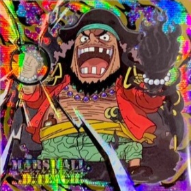 ワンピース ウエハース シークレット2種 にふぉるめーしょん