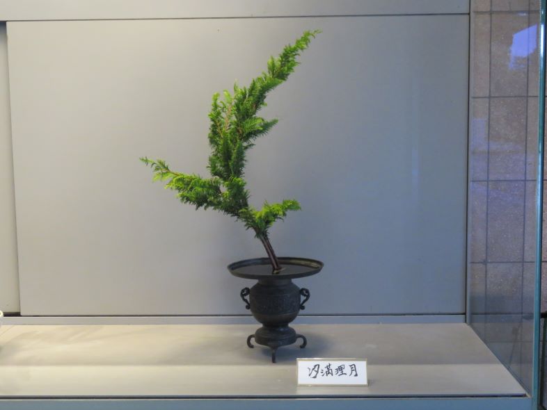 10月11日（土）の生け花（古流桜会 代表 川合 理千 先生） | 千鳥