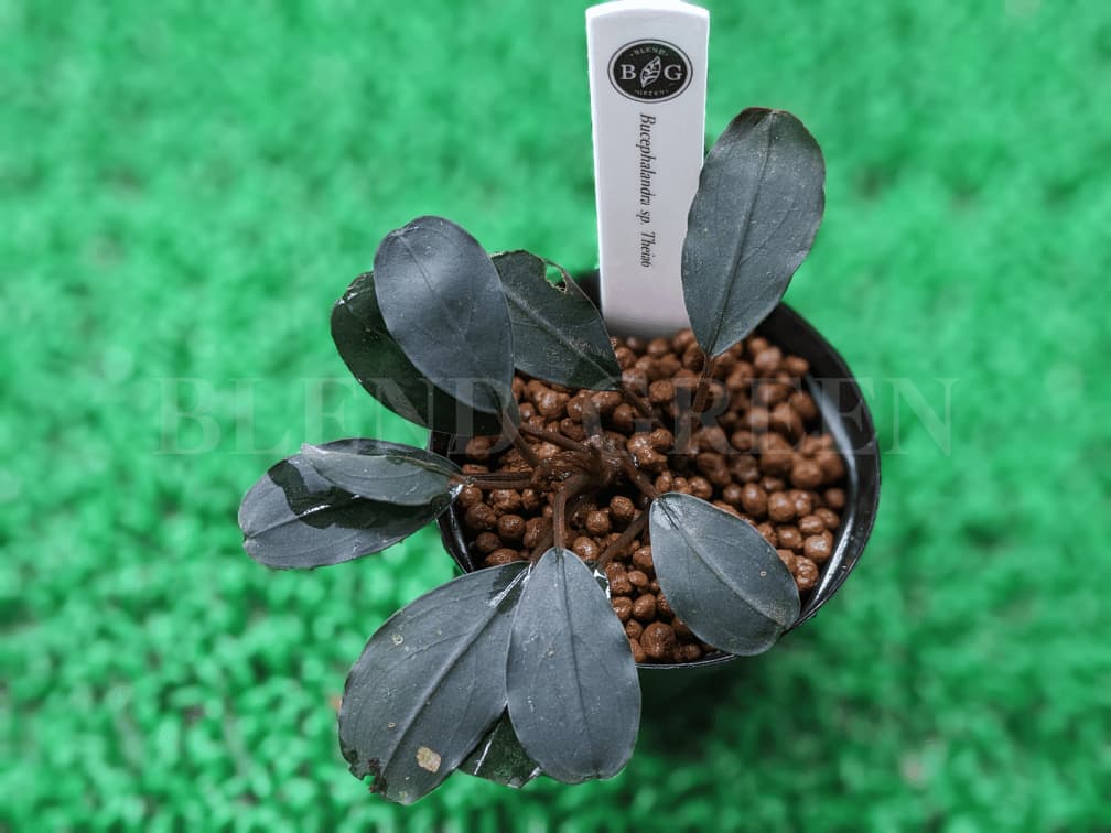 2024.10.9】フィードオンに足を運んでみた