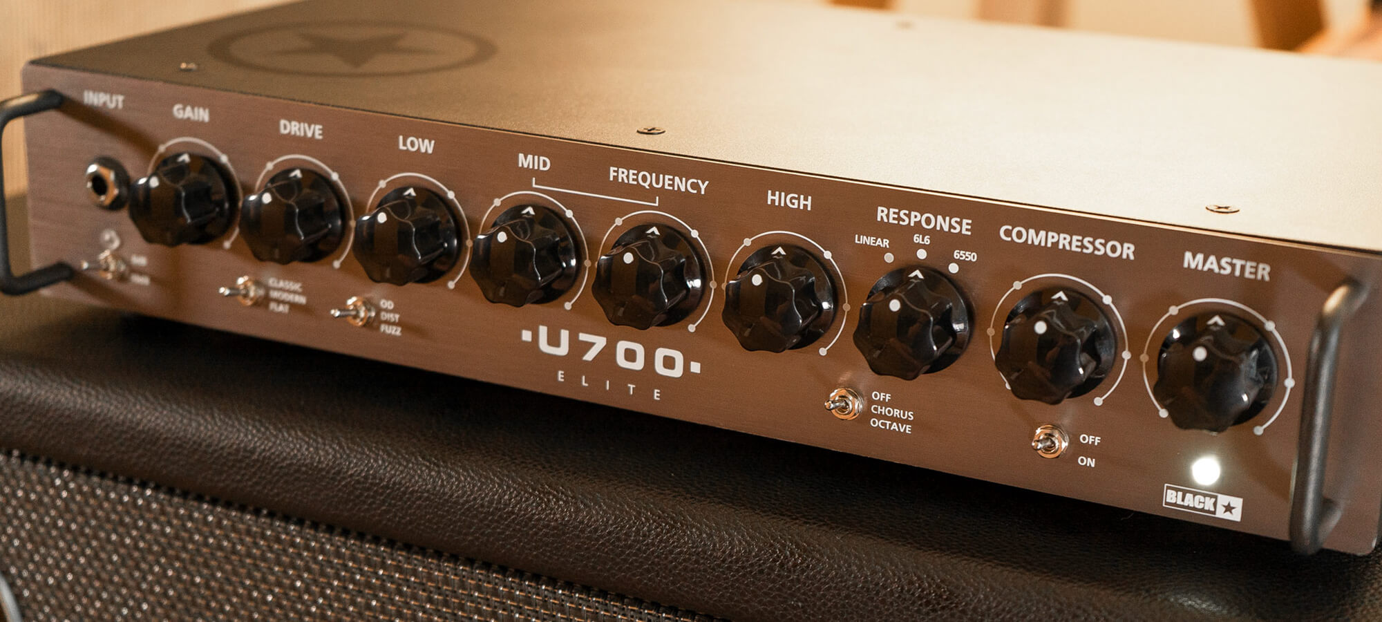 Unity Elite 700 Bass Head