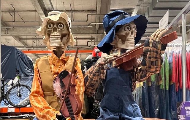 スケルトンモデル コストコ ハロウィン ハロウィン スケルトン