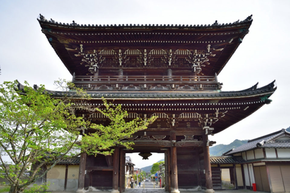 清凉寺で美味を堪能し、素敵な旅の思い出を増やしてみては|caedeKyoto