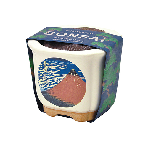聖新陶芸 BONSAI GD640−4 赤富士｜【ハンズネットストア】