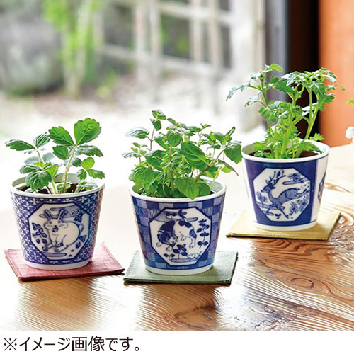 聖新陶芸 染付小紋草加BONSAI ねこ／ミント GD1022‐2｜【ハンズネット