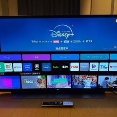 LG】有機ELテレビ 48インチ 美品