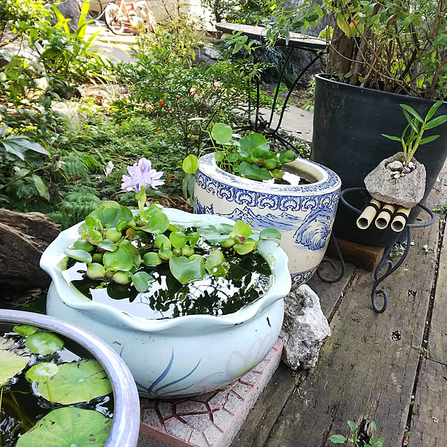 昭和レトロ火鉢、睡蓮鉢 金魚鉢、メダカ鉢などに 【公式通販】