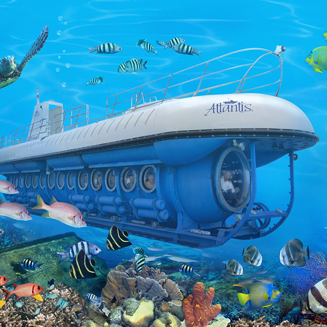 探秘蔚蓝世界「夏威夷大岛必游项目」Kona 亚特兰蒂斯潜水艇门票（自驾