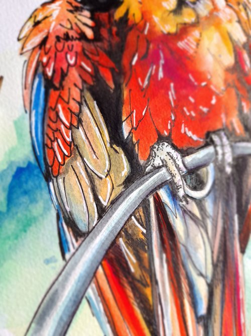 コンゴウインコ 絵画 オウム絵画赤コンゴウインコ鳥水彩アートワーク