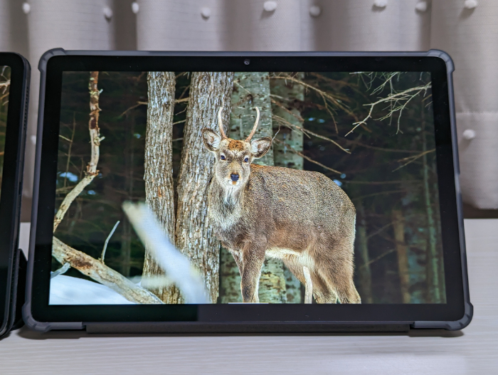 Blackview Tab 13レビュー】2.5万円のSIMフリータブレットの実力は