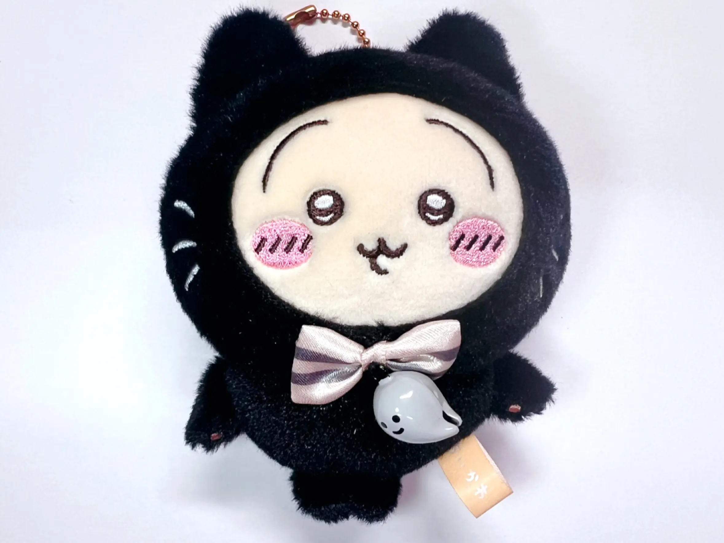 写真-2024-10-20-1-42-46-2-1.