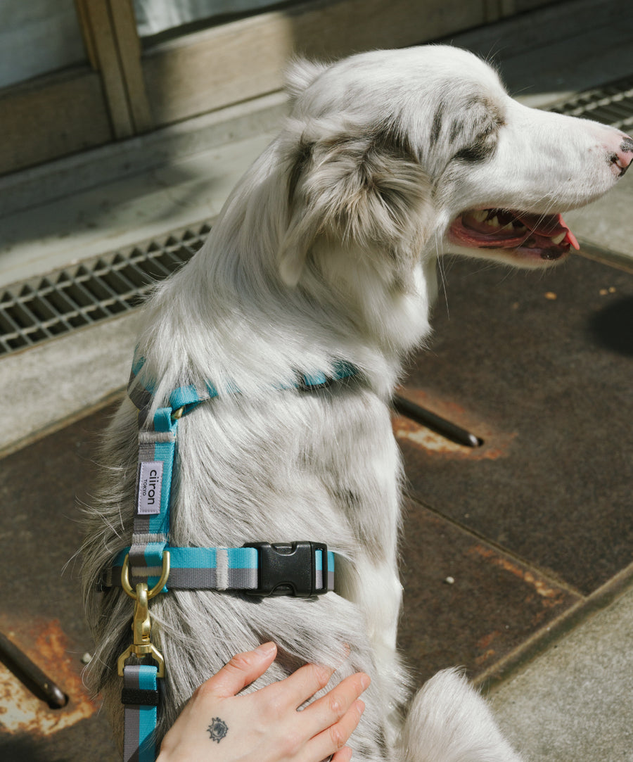 ハーネス Serene – ciiron tokyo