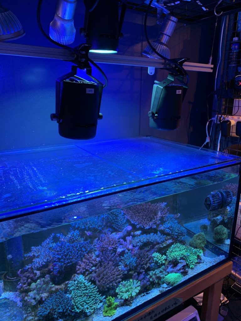 京セラアクアリウムLED ディープブルー | コーラルラボ
