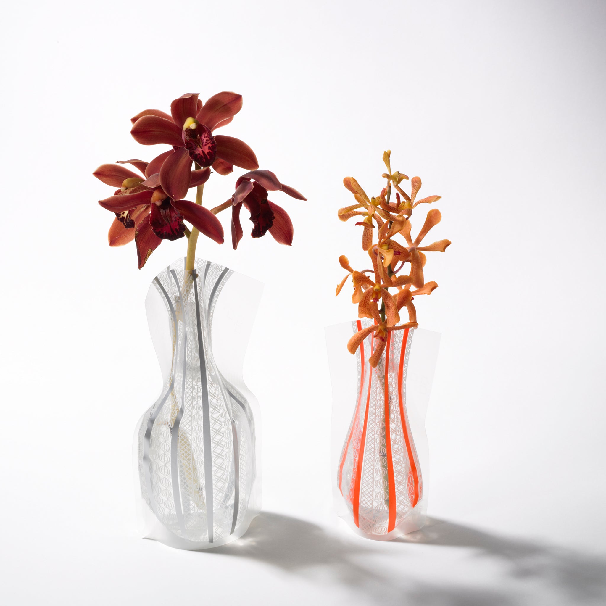 フラワーベース レースストライプ | D-BROS