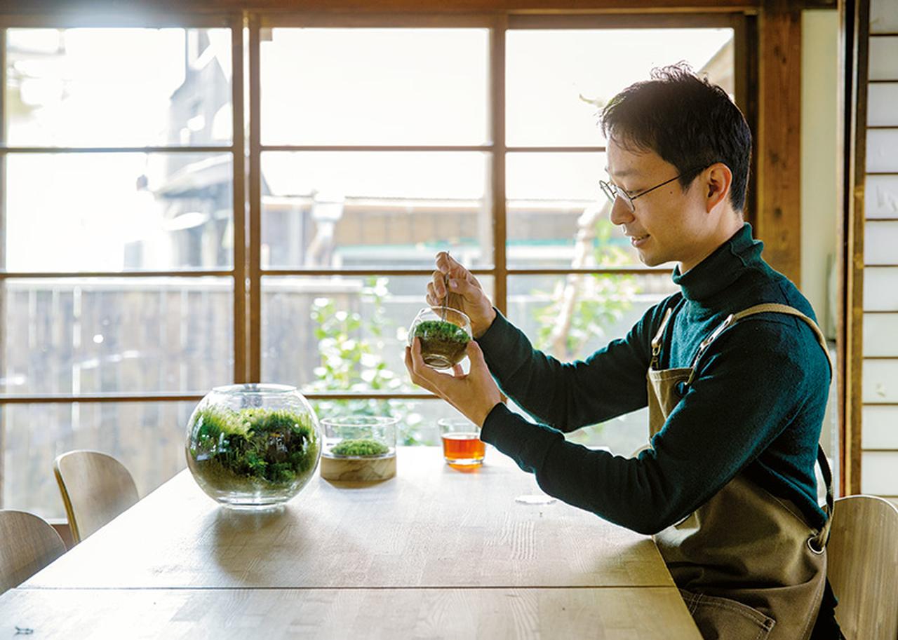 自然中の飼育箱、苔テラリウム(枝でアーチ) 【公式通販】
