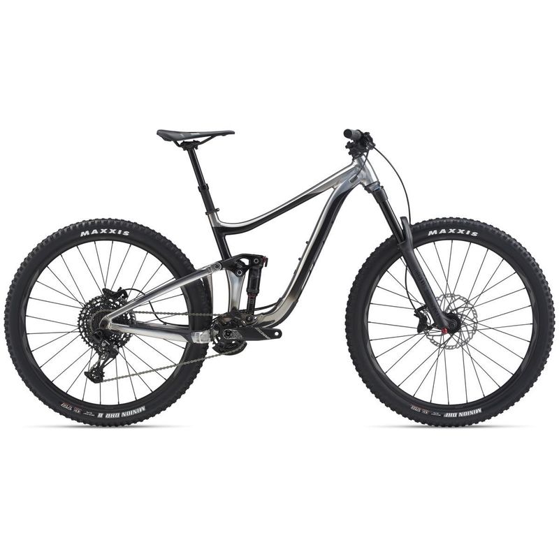 2020 Giant Reign 29 2 MTB Titanium