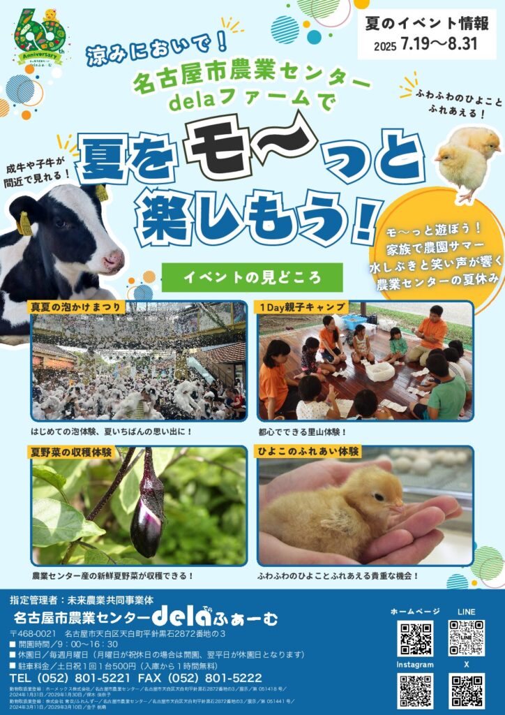 なつみかん 名古屋市近郊限定手渡のみ名古屋市中村、北区配送無料