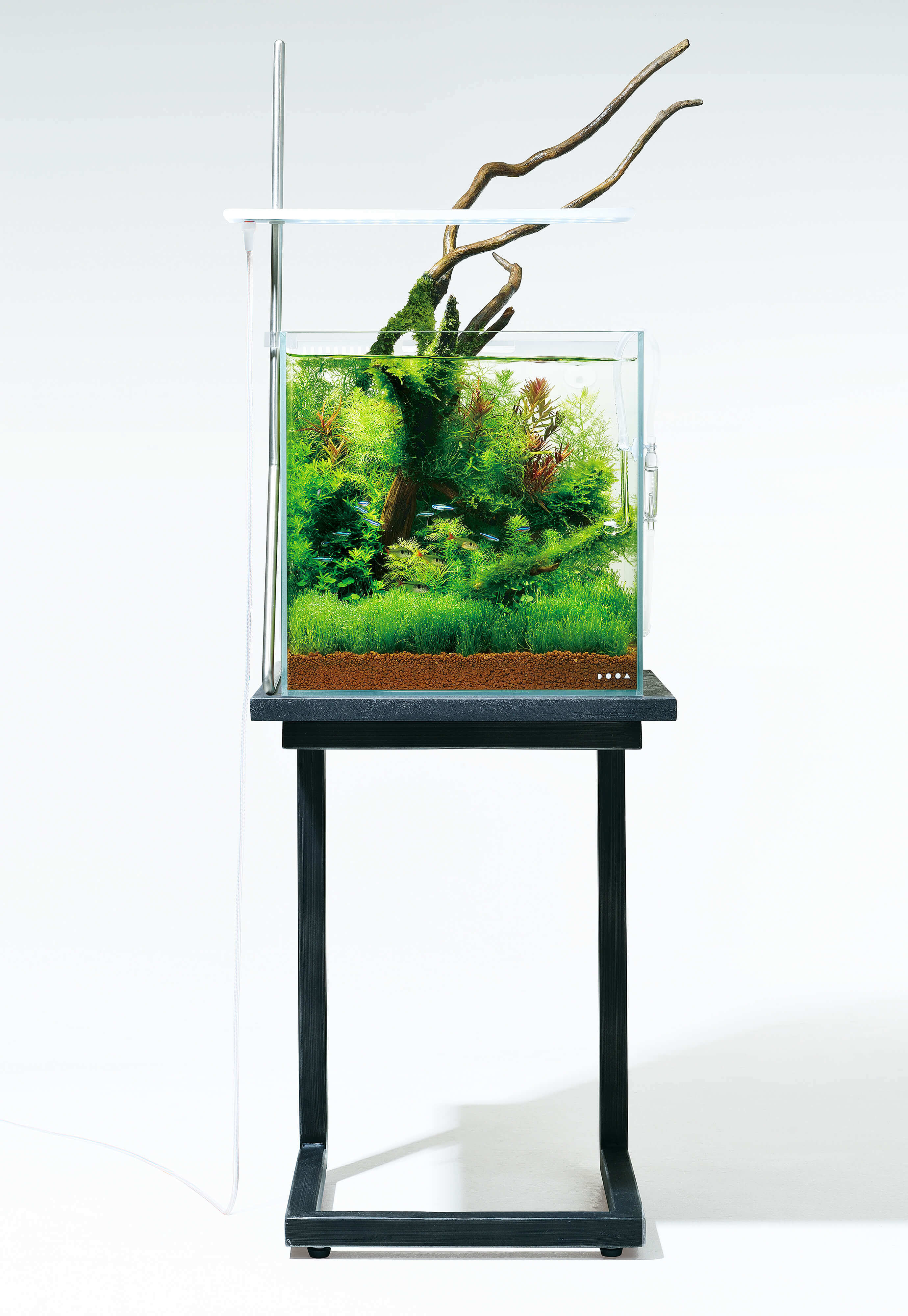 ADA 30cm水槽セット ADA 30キューブ水槽セット