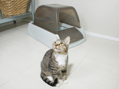 自動猫トイレ スクープフリーウルトラ | レンジャース オンライン