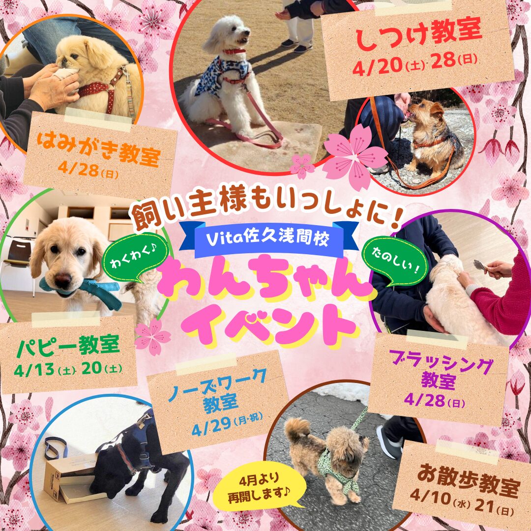 チャッピー様リクエスト作品『いぬづくし』 チャッピー様リクエスト