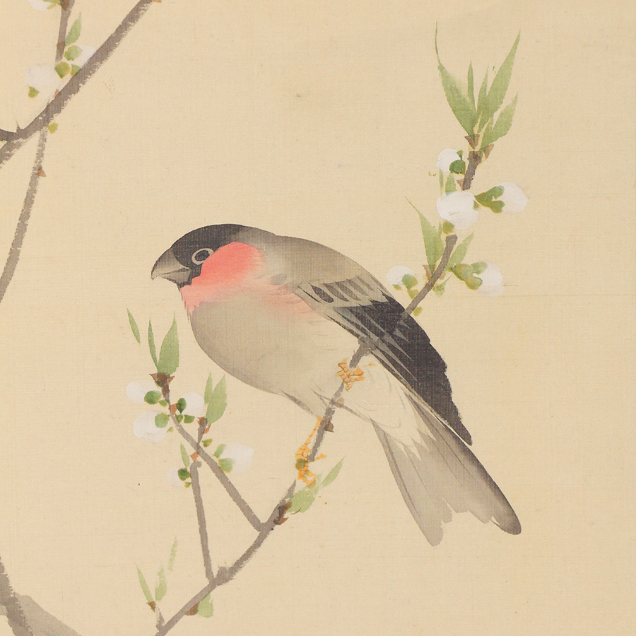 松村景文 桃花小禽図 - 日本の動物画‐いきもののかたち‐ 江戸期の花鳥