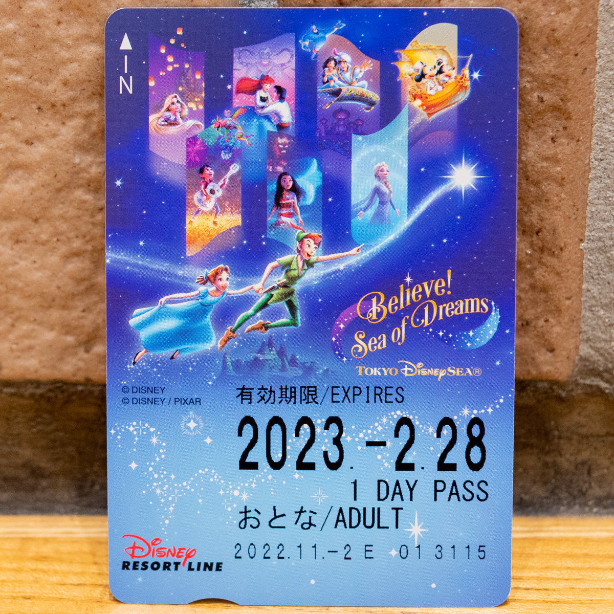 35周年含む【使用済】2018年度 ディズニーリゾートライン 切符 パス リゾラ