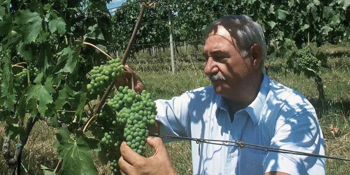 カーゼ・バッセ・ディ・ジャンフランコ・ソルデラ CASE BASSE DI