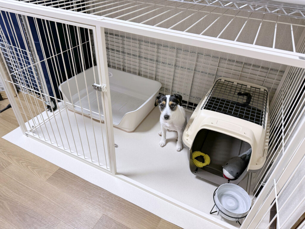 大阪府内はお持ち致します】extail アクリルケージ 小型犬用 ホワイト