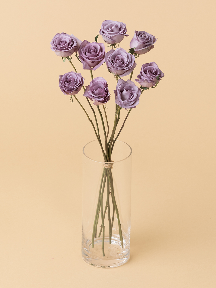 高級ドライ】バラ オーシャンソング【薄紫/50cm】｜Flower Smith