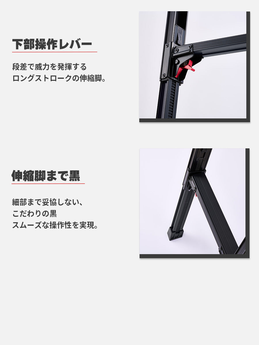 公式】長谷川工業 脚部伸縮2連はしご ブラック 3.8mタイプ – Hasegawa