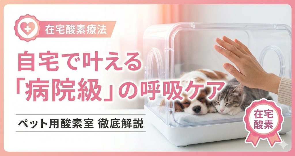 ペット用酸素室の基礎知識！在宅酸素療法の仕組みと獣医師への相談
