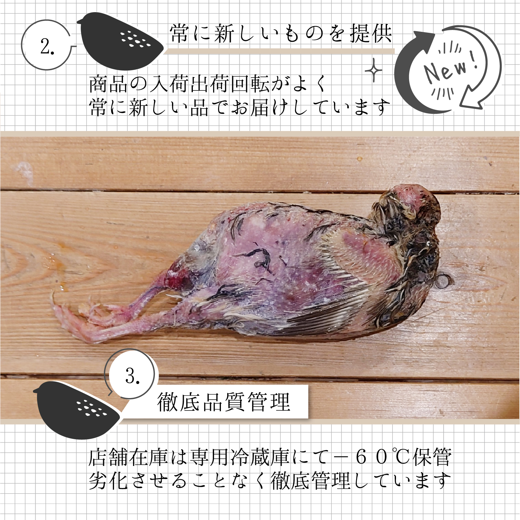 冷凍 親うずら 未処理100羽入 数量限定 残3個 冷凍 親うずら 未処理100