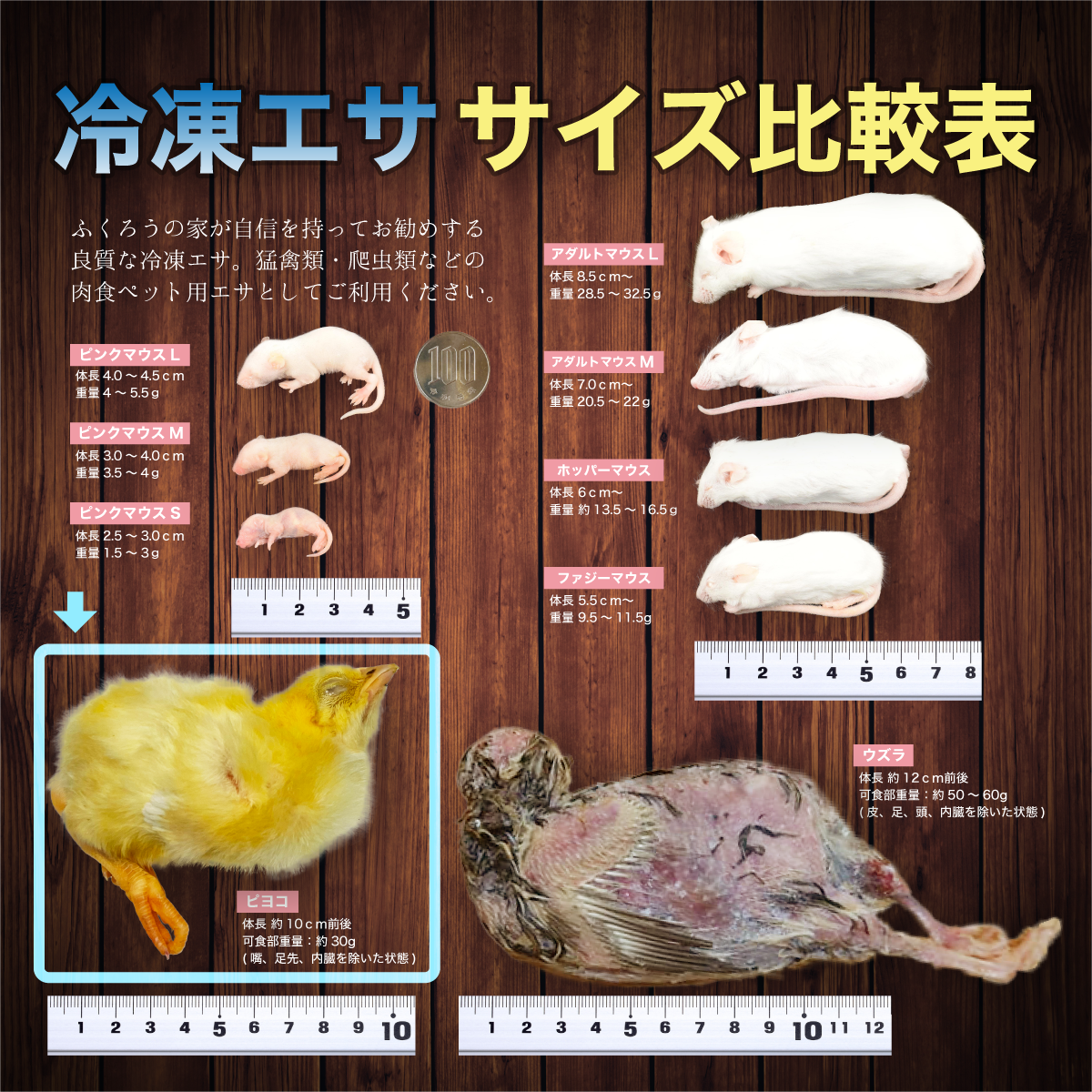 冷凍ヒヨコ 冷凍ひよこ 1羽22円 300羽セット 25羽×12袋