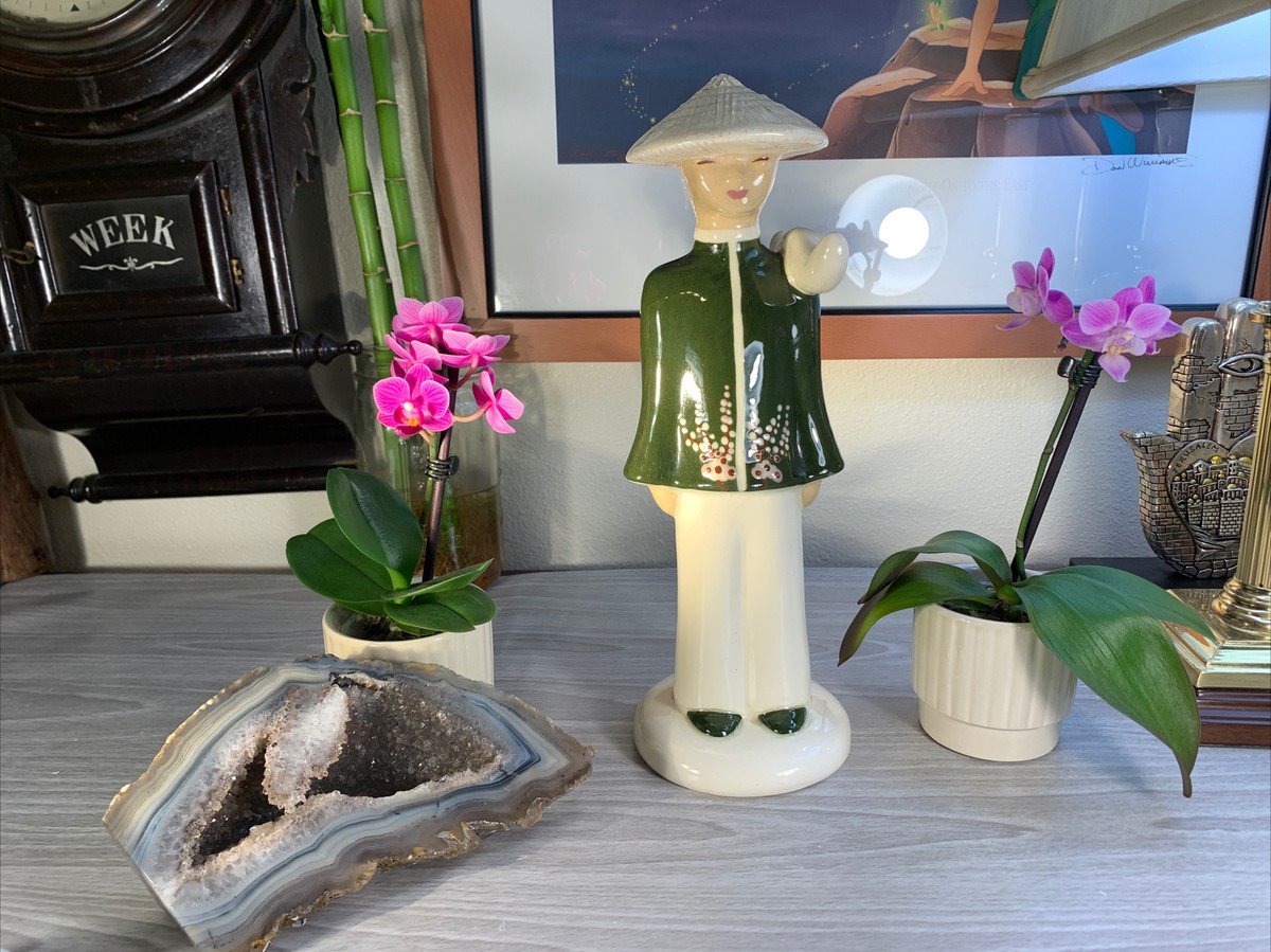 入手困難 Lion ／Turn about ／Hedi Schoop 入手困難 Lion ／Turn