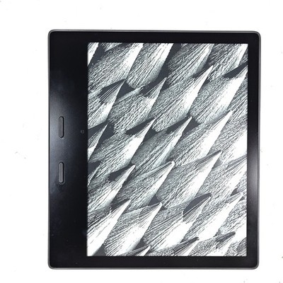 超美品 Kindle Oasis 第10世代 32GB 広告なしモデル㊸ Kindle Oasis(第