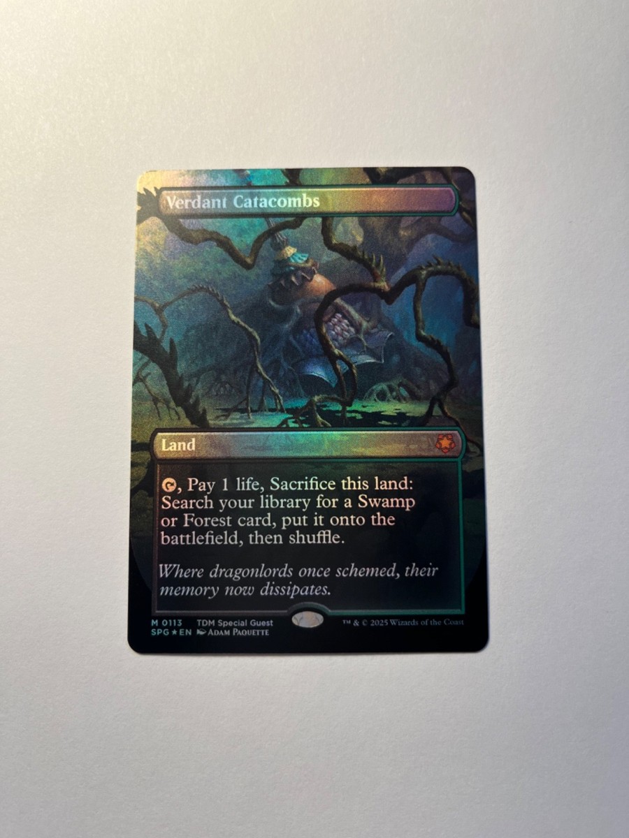 ♪MTG/即決/英語/ZEN/新緑の地下墓地/Verdant Catacombs
