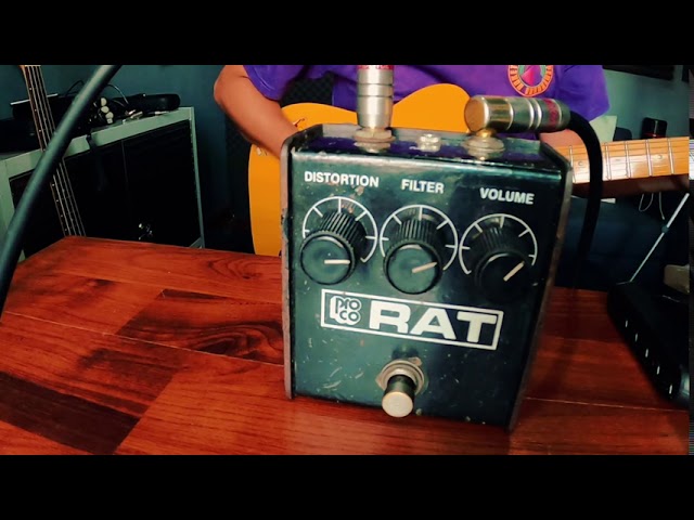 1986 Proco RAT with Telecaster - YouTube