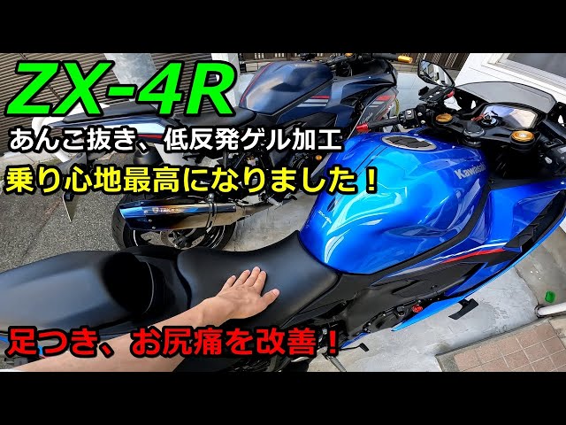 あおページ トリックスター / 【WEBショップ限定】Ninja ZX-4R(24-26)/ZX