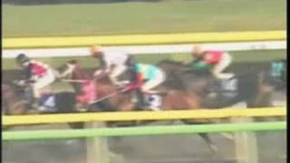 シンコウウインディ 第14回 フェブラリーステークス 6人気 1着