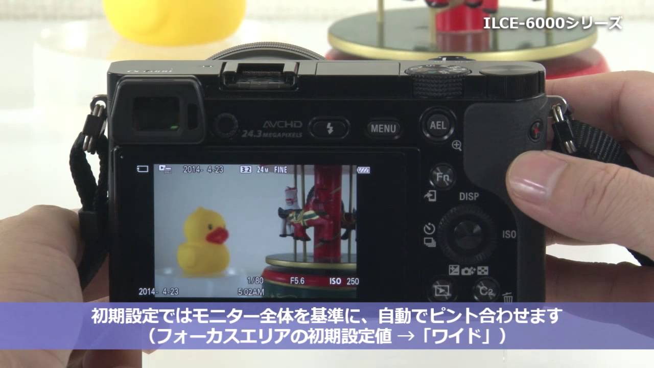 SONY α ILCE-6000+SEL16F28ブラック 動画時間解除済 SONY α ILCE-6000+