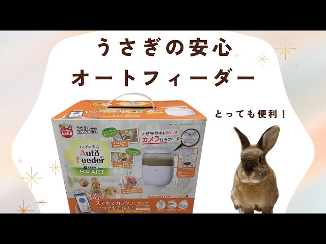 うさぎの安心オートフィーダースマート設置&使用レポ！ - YouTube
